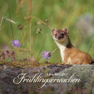 啊～好涨h男产卵
